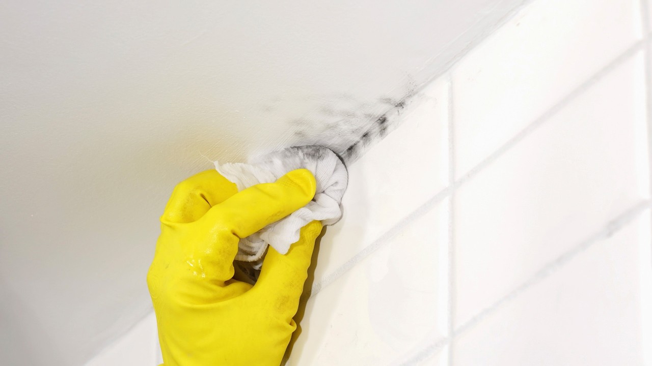 How to Remove Mold From a Bathroom Ceiling