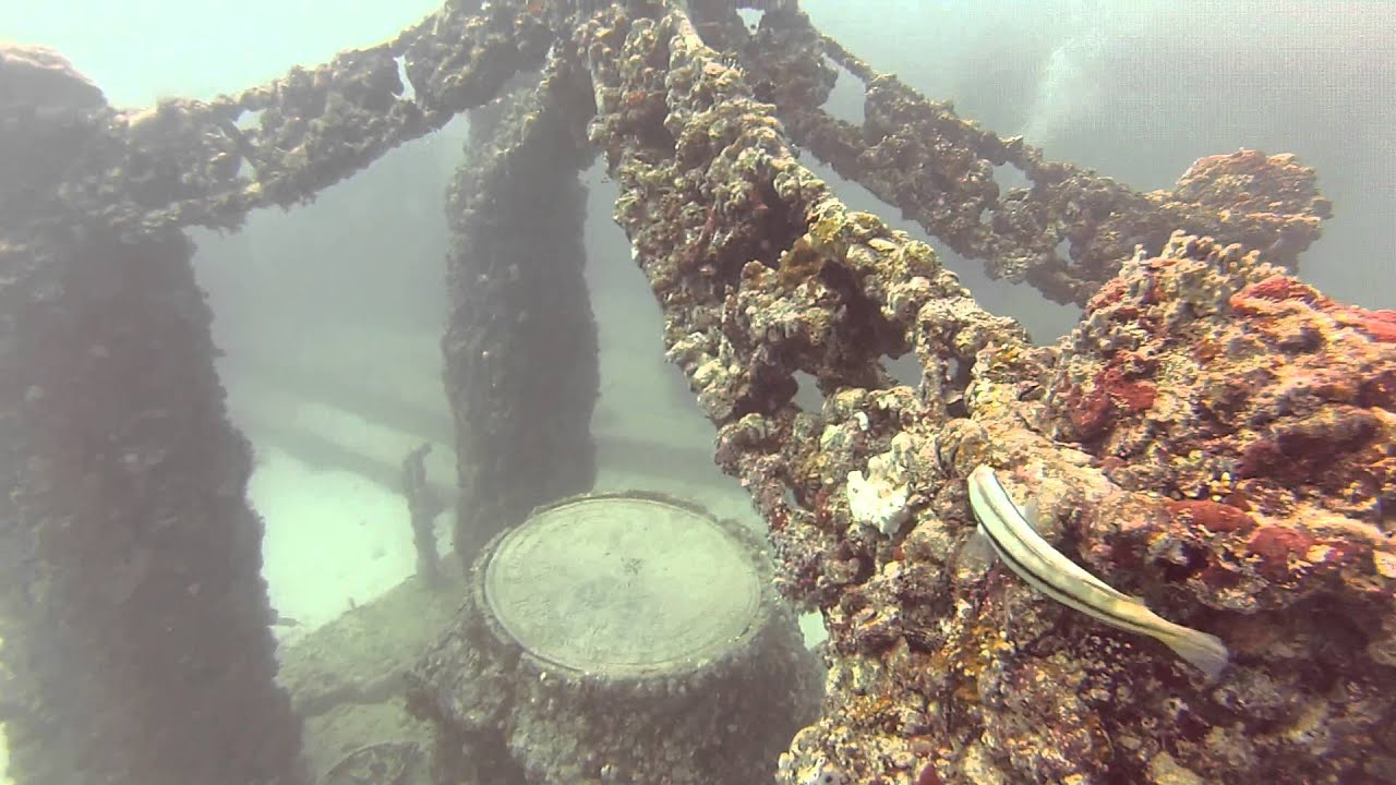 Neptune Memorial Reef