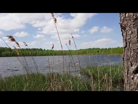 4 минуты с места силы. Озеро Светлояр