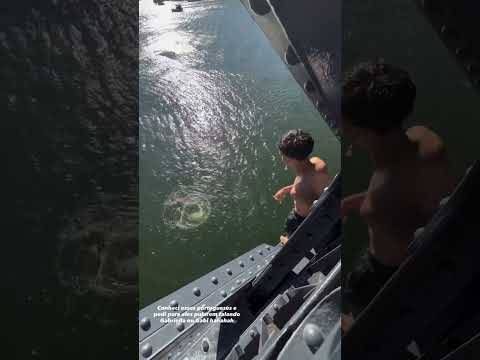Gabriella Saraivah (@gabriellasaraivah) archived Instagram Stories compilation from June 28, 2026