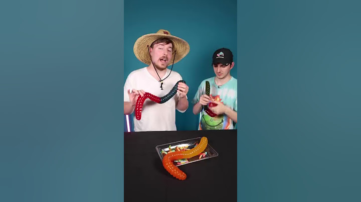 World's Largest Gummy Worm