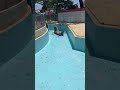 呼んできたのは...#shorts #桂浜水族館 #カリフォルニアアシカ #ケイタ #コエル
