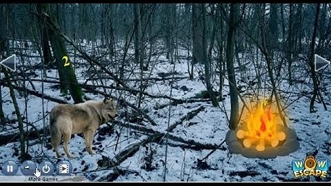 Wow Wolf Forest Escape walkthrough Wow Escape..