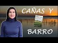 Reseña: 'Cañas y barro', Vicente Blasco Ibáñez