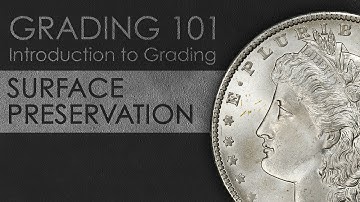 SURFACE PRESERVATION: Introduction to Coin Grading Using Mint State Morgan Dollars