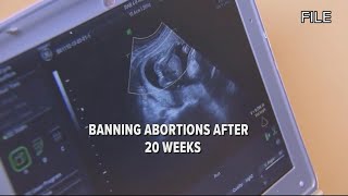 WATCH: Global Abortion Rights Leaders convene in Washington, D.C.