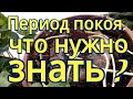 Цикламен (Cyclamen) Период покоя у цикламенов.  Уход.