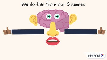 What is a peripheral device?