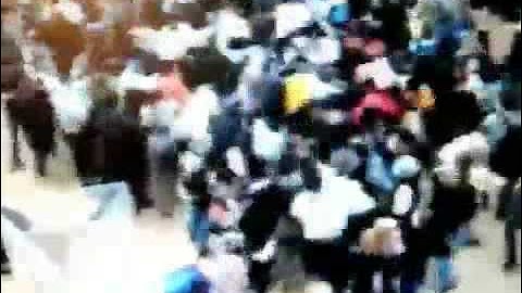 ArtFreakSummer#1 Loop