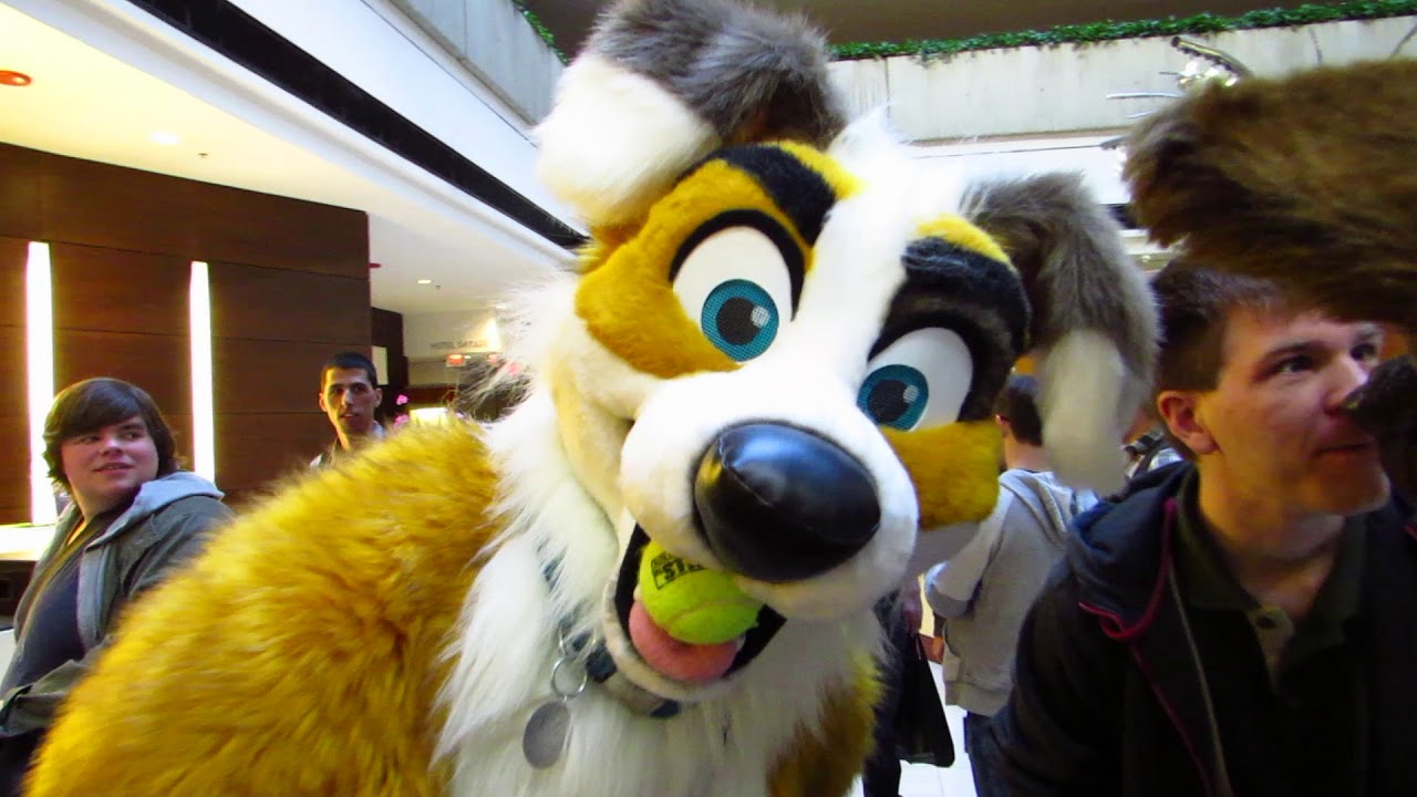 Valdor's MFF 2017 con video