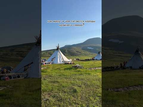 Как живут и