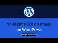 No right click on images   prevent image right click  wordpress 