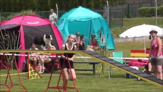 O žabího krále - 23.7. 2016, agility competition | Airin by Terka Šubrtová 270 views 7 years ago 2 minutes, 28 seconds