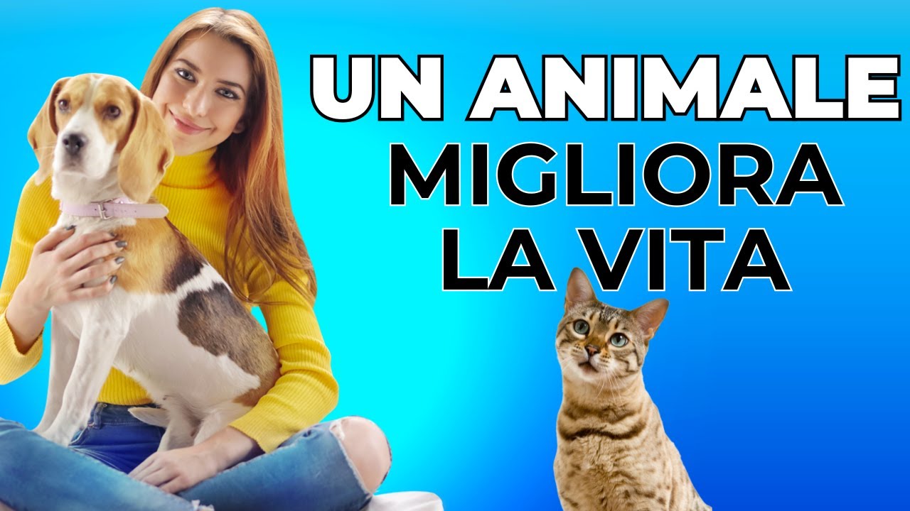 Perché avere un ANIMALE ti fa stare meglio? PET THERAPY