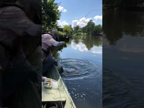 2018 09 13 5lb Bass landed in slowmotion