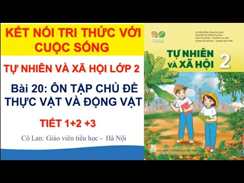 Video Tự nhiên và Xã hội lớp 2. Kết nối tri thức với cuộc... - youtube