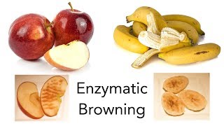 Why Do Apples and Bananas Turn Brown? - STEM activity