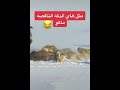 تيم الرافدين ليش مشاهدات لايكات تيم الرافدين ليش مشاهدات لايكات