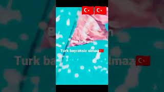 Ben Turkum Turk Bayraksiz Olmaz