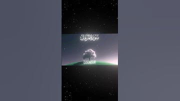 سورة المزمل|12-15|القارئ:#محمد_اللحيدان #قران #quran #قران_كريم #تلاوة #تلاوة_هادئة #آية#تلاوة_خاشعة