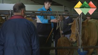Feira de Chantada, onde resisten os tratantes