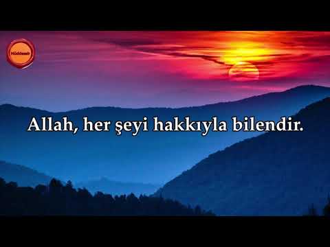 Nur Suresi - Maher al Muaiqly