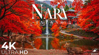 Download Lagu Autumn in Nara - Japan 4K UHD 🍁 Ancient Temples, Red Maple Trees \u0026 Relaxing Piano Melodies MP3 Download Lagu Autumn in Nara - Japan 4K UHD 🍁 Ancient Temples, Red Maple Trees \u0026 Relaxing Piano Melodies MP3