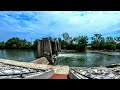 Great Miami River Fishing | Dam | Big Flathead Catfish