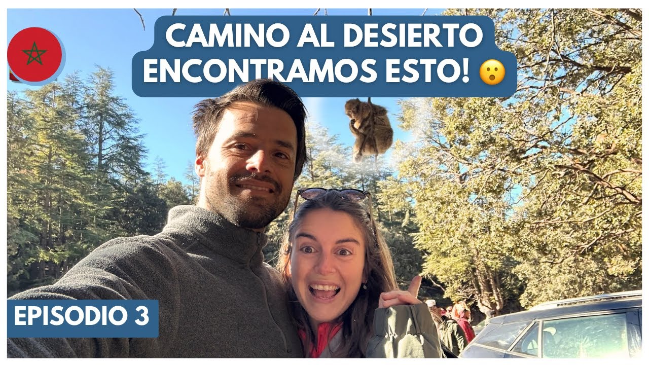🇲🇦 SORPRESAS A CADA PASO EN MARRUECOS! Monos salvajes, camellos y más 🐵🐫🏜️ #marruecos #desierto