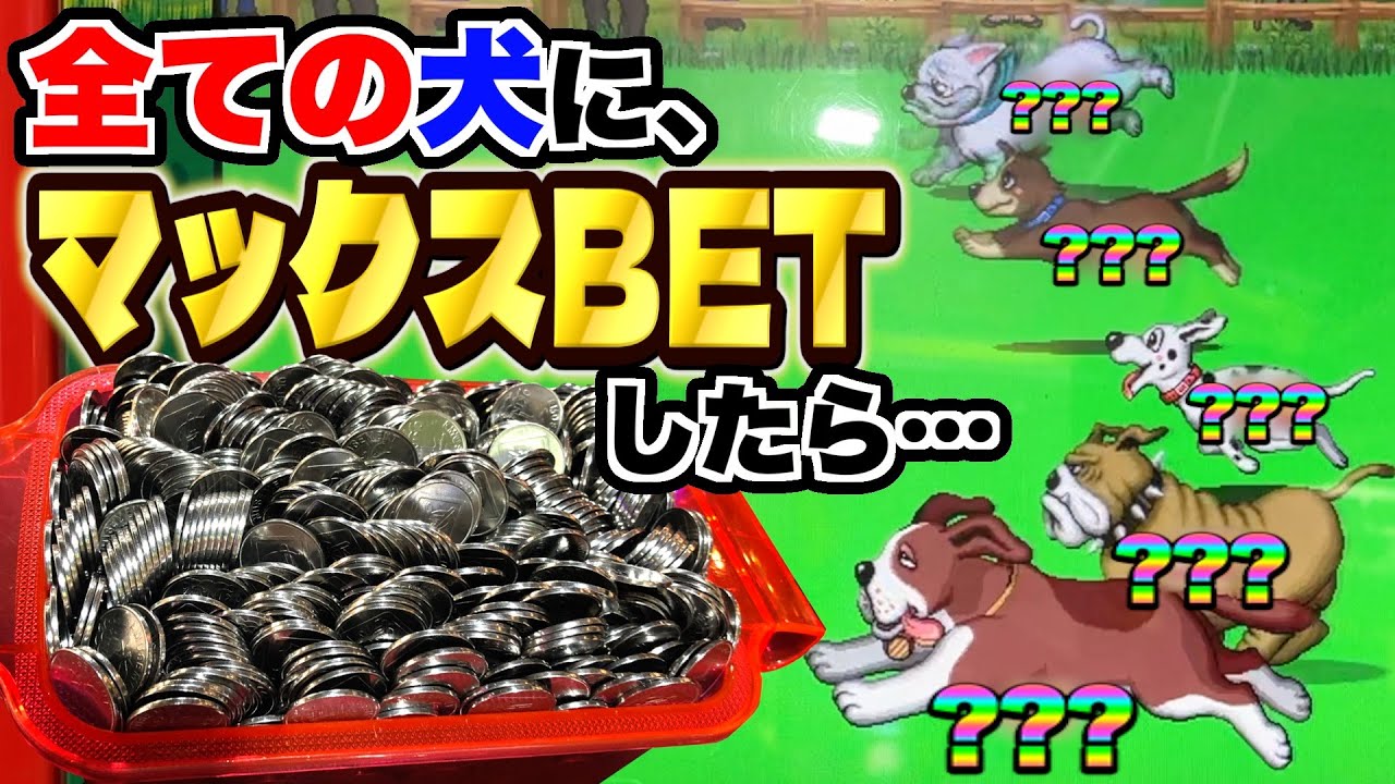１０レース全ての犬たちにマックスBETしてみたらメダルは増えるのか検証した結果！！www【わんわんレース】【メダルゲーム】