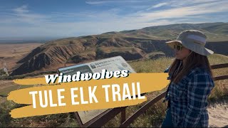 WINDWOLVES PRESERVE’S TULE ELK TRAIL HIKE