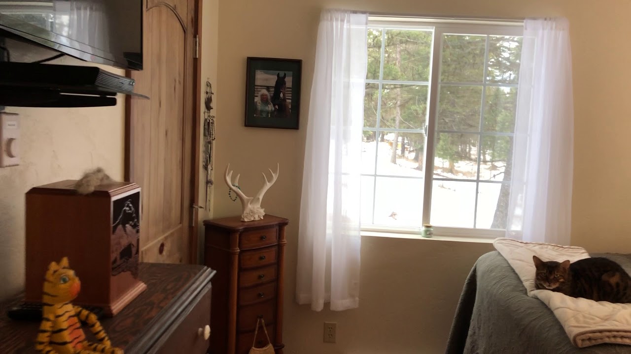 1200 Lost Creek Drive, Kalispell, MT YouTube