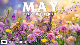 Springtime Splendor 4K | Dancing Butterflies & Busy Bees 🌷 A Magical Garden Awakening screenshot 5