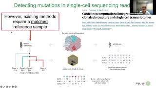 Accurate de novo detection of somatic mutations in high-throughput single-cell profiling data sets