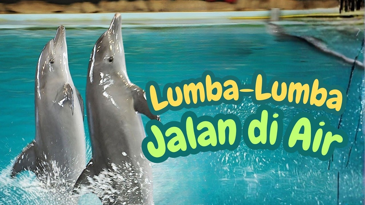 LUMBA-LUMBA AJAIB BISA JALAN DI AIR - SAMUDERA ANCOL