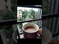 IT'S TIME TO ENJOY PEACE #TEA#ilovetea