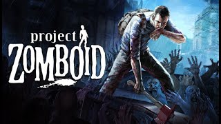 Project Zomboid. Грандиозные планы! Стрим