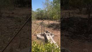 🔴TERRENO en VENTA 16.5 HECTÁREAS HOMÚN YUCATÁN 🇲🇽 #realestate #yucatán #mexico