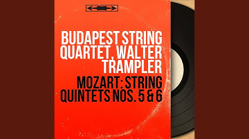 String Quintet No. 6 in E-Flat Major, K. 614: I. Allegro di molto