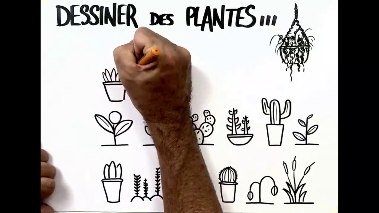 FG156   Dessiner des plantes