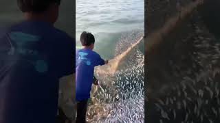 Outdoor Fishing Full Harvest 🎣 Big Catch Day!#Fishing #OutdoorFishing #FishCatch #FishingLife
