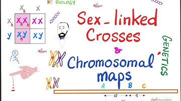 Sex-linked Crosses and Gene maps | Biology