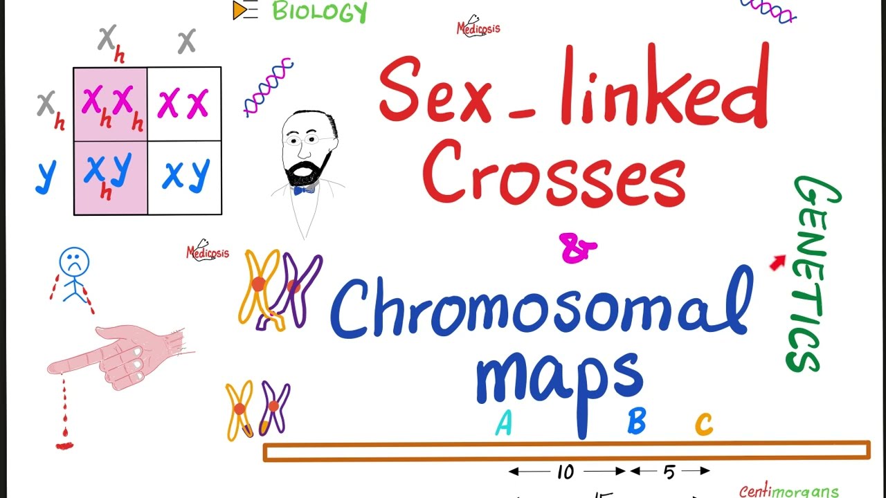Sex-maps.com
