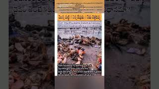 monna matti. ninna dhevudu. nedu chettha