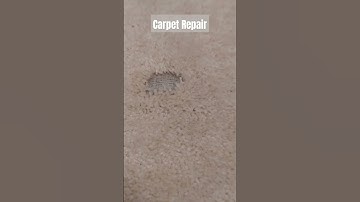 Home Improvement, Carpet Repair to Fix Pet Damage by BEB Flooring & Cleaning #homeimprovement