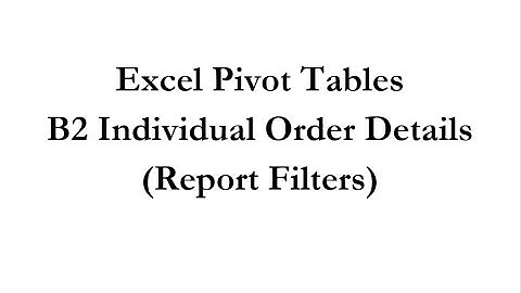 Pivot Tables B2 Individual Order Details