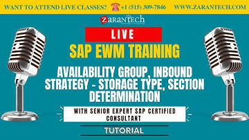 LIVE | Availability Group, Inbound Strategy - Storage Type, Section Determination | SAP EWM Training