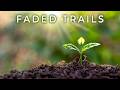 Millers Dreams Faded Trails Chris Zippel Remix Grooves Land 