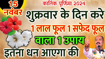 15 नवंबर कार्तिक पूर्णिमा के दिन 1 लाल फूल 1 सफेद फूल वाला उपाय जरूर करे || Pradeep Ji Mishra