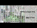 Miniature de la vidéo de la chanson Caged Bird